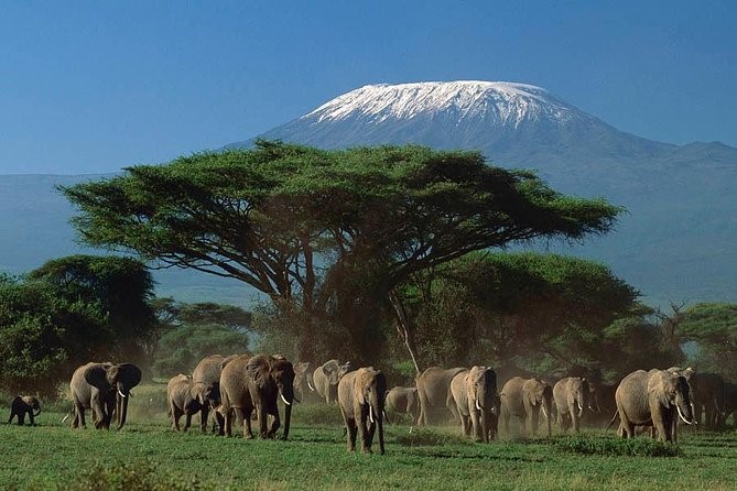 kenya