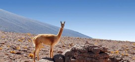 02_atacama-desert-chile-wallpaper.jpg