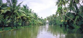 03_cochin_water_way.jpg