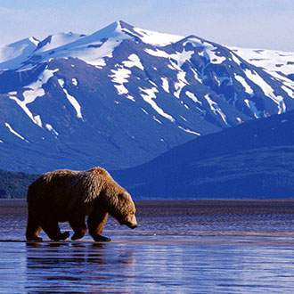 Alaska: Denali to Prince William Sound