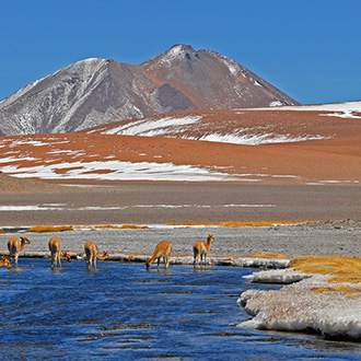 Σαντιάγκο της Χιλής – Νησί του Πάσχα