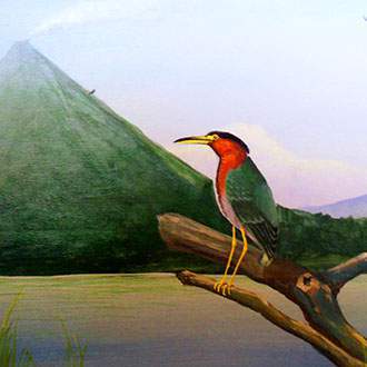 Βασίλεια της Φύσης - Πανόραμα Κόστα Ρίκα - Ζούγκλα Τορτουγκέρο