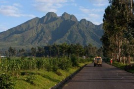 Volcanoes-National-Park-Rwanda.jpg