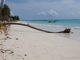 white_beach_zanzibar.jpg