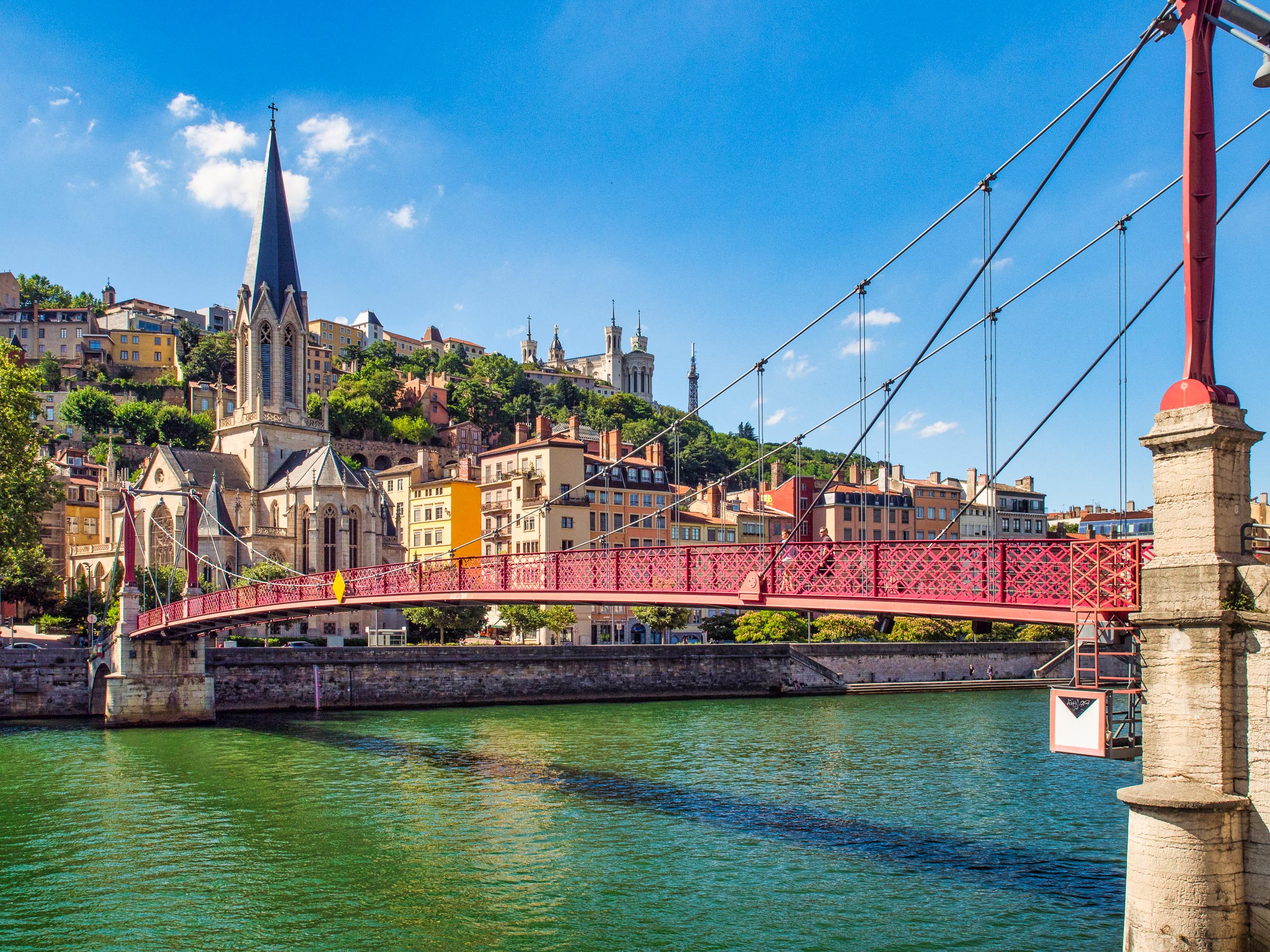 Lyon-1