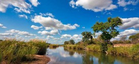 02_Kruger_National_Park_Landscape_3.jpg